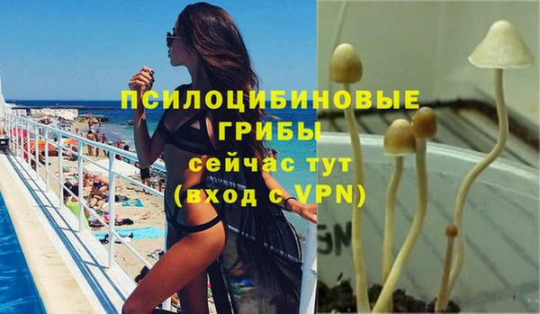 mdpv Балабаново