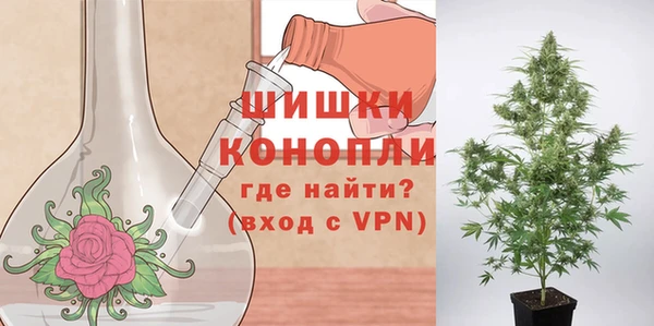 ПСИЛОЦИБИНОВЫЕ ГРИБЫ Богданович